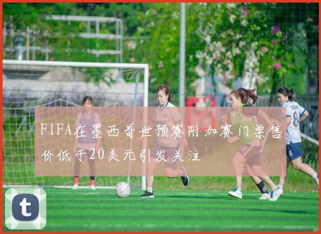 FIFA在墨西哥世预赛附加赛门票售价低于20美元引发关注